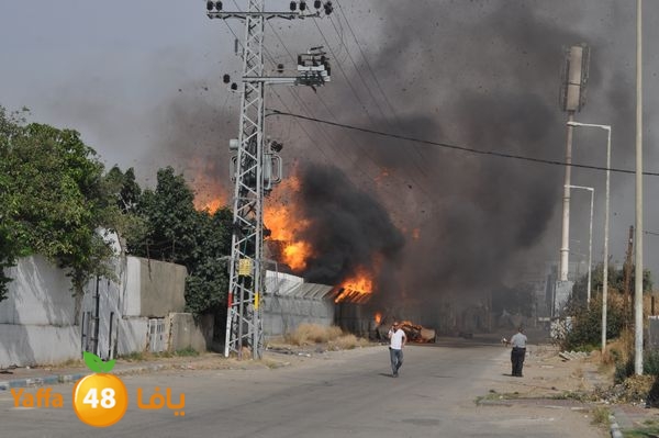 fireludkartoonmasna34 (39).JPG